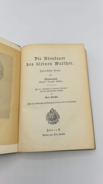 Multatuli (Eduard Douwes Dekker): Die Abenteuer des kleinen Walther Humoristischer Roman