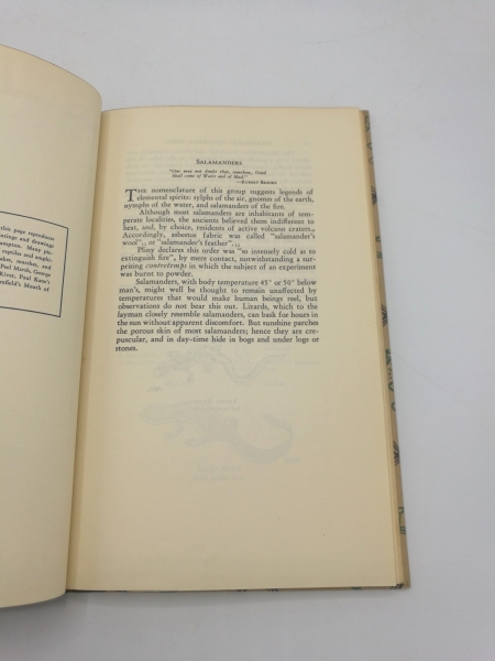 Bull, William Perkins: From Amphibians to Reptiles Shy Swamp-Dwellers in Study, Picture and Legend