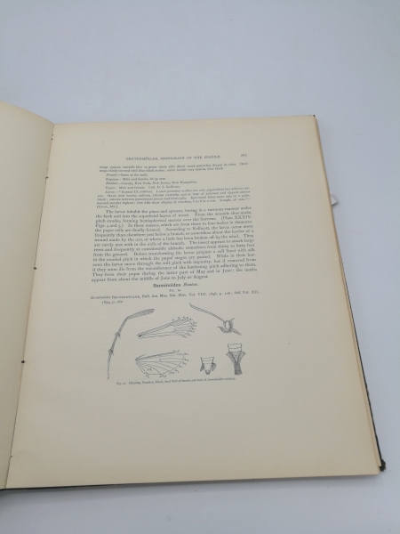 Beutenmüller, William: Vol. I, Part VI. Monograph of the Sesiidae of America, North of Mexico Memoirs of the American Museum of Natural History