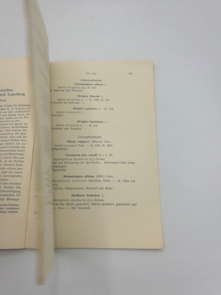 Jaap, Otto: Verzeichnis von Zoocecidien aus dem östlichen Holstein und Lauenburg Sonderdruck aus Schriften des Naturwissenschaftlichen Vereins für Schleswig-Holstein. Band XVIII, Heft 1, 1927