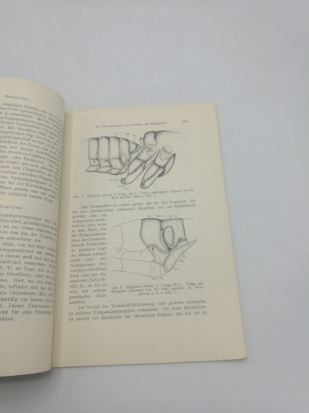 Sick, Herbert: Die Tympanalorgane der Uraniden und Epiplemiden Abdruck aus Zoologische Jahrbücher. Abteilung für Anatomie und Ontogenie der Tiere. Band 63, Heft 3