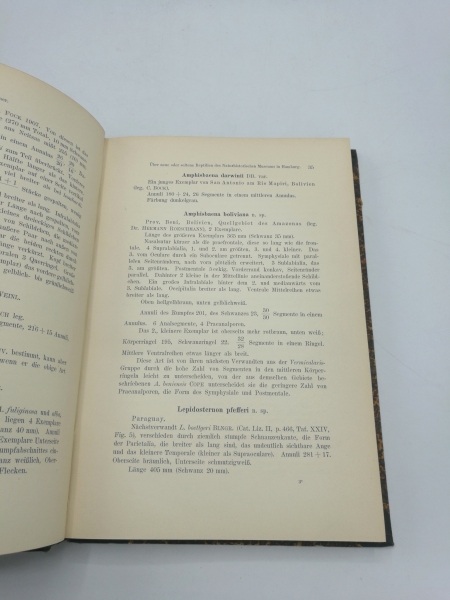 Naturhistorischen Museum Hamburg (Hrsg.): Mitteilungen aus dem Naturhistorischen Museum in Hamburg. XXVII. Jahrgang 2. Beiheft zum Jahrbuch der Hamburgischen Wissenschaftlichen Anstalten. XXVII. 1909