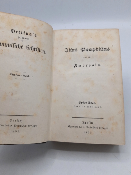 von Arnim, Bettina: Ilius Pamphilius und die Ambrosia Erster und zweiter Theil