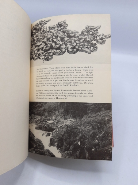 Pope, Clifford H.: The Giant Snakes The Natural History of the Boas Constrictor, the Anaconda and the Largest Pythons