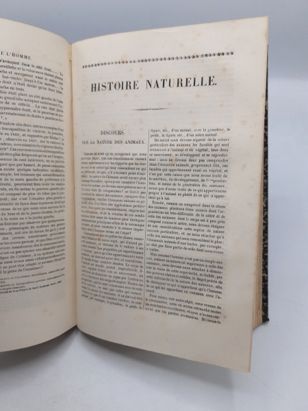 Buffon, [Louis Leclerc de]: Oeuvres completes de Buffon, avec des extraits de Daubenton. Et la classification de Cuvier. Tome Troisieme, I. Mammiferes