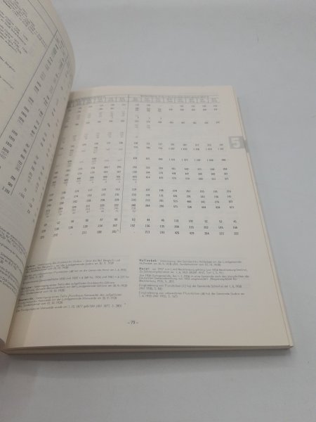 Statistisches Landesamt Schleswig-Holstein (Hrgs.), : Die Bevölkerung der Gemeinden in Schleswig-Holstein 1867-1970 (Historisches Gemeindeverzeichnis)