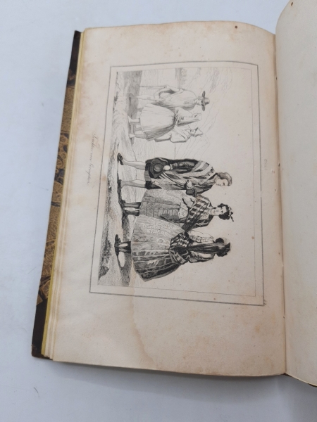 Famin / Charlier, Cäsar / Victor: Welt-Gemälde-Gallerie oder Geschichte. Chili / Die Inseln Madagaska, Bourbon und Mauritus (= 2 Teile in 1 Band) und Beschreibung aller Länder und Völker, ihrer Regligionen, Sitten, Gebräuche, u. s. w.