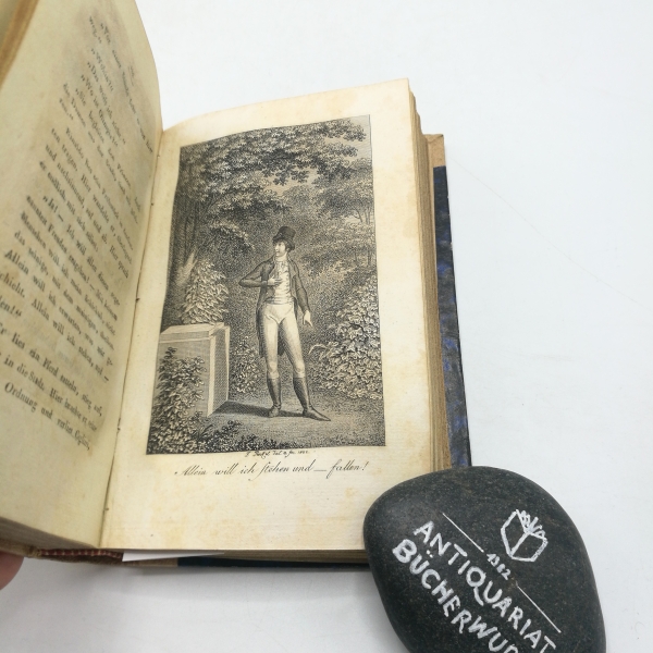 [Vulpius], [Christian August]: Rinaldo Rinaldini der Räuber-Hauptmann. Vierter [4.]- Sechster [6.] Theil Eine romantische Geschichte unsers Jahrhunderts, in sechs Theilen