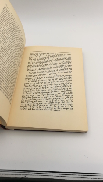 Goes, Gustav: Der Tag X. Die große Schlacht in Frankreich (21. März - 5. April 1918).