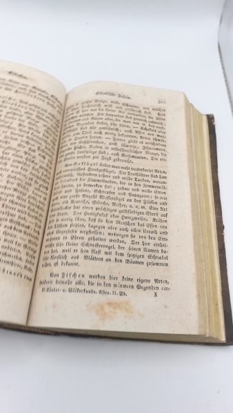 [Ehrmann], [Theophil Friedrich]: Neueste Länder- und Völkerkunde. Zehnter [10] Band. Asien zweyter [2.] Theil. Asien. Siebente Abtheilung. Beschreibung der einzelnen Länder. C. Süd-Asien. Hindustan, Vorder- und Hinter-Indien, Ostindische Inseln.