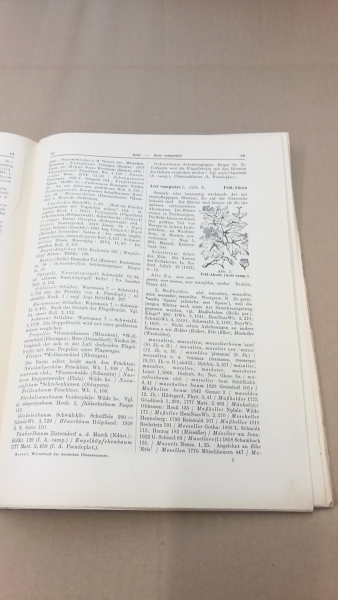 Marzell, Heinrich: Wörterbuch der Deutschen Pflanzennamen. Lieferung 1 Abelia-Agrimonia