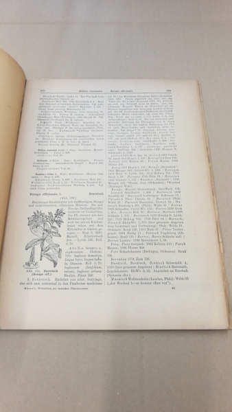 Marzell, Heinrich: Wörterbuch der Deutschen Pflanzennamen. Lieferung 5 Borago-Calycanthus