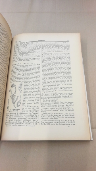 Marzell, Heinrich: Wörterbuch der Deutschen Pflanzennamen. Lieferung 11 (Band 2. Lieferung 2) Draba- Erysimum