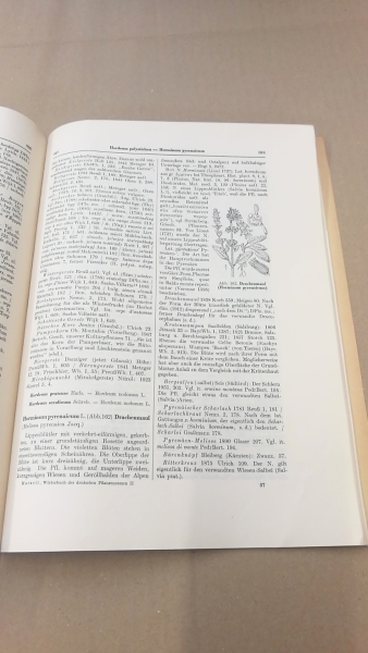 Marzell, Heinrich: Wörterbuch der Deutschen Pflanzennamen. Lieferung 15 (Band 2. Lieferung 6) Helleborus- Hypericum perforatum