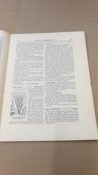 Marzell, Heinrich: Wörterbuch der Deutschen Pflanzennamen. Lieferung 16 (Band 2. Lieferung 7) Hypericum-Knautia