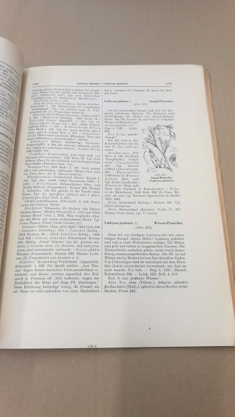 Marzell, Heinrich: Wörterbuch der Deutschen Pflanzennamen. Lieferung 17 (Band 2. Lieferung 8) Knautia-Ligustrum