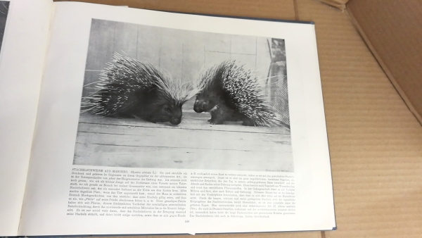 Heck, Lutz: Lebende Bilder aus dem Reiche der Tiere. Augenblicksaufnahmen nach dem lebenden Tierbestande des Berliner zoologischen Gartens.