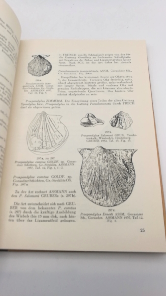 Schmidt, Martin: Die Lebewelt unserer Trias. Nachtrag 1938