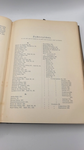 Werner, Hugo: Die Rinderzucht. Körperbau, Schläge, Züchtung, Haltung und Nutzung des Rindes. Praktisches Handbuch.