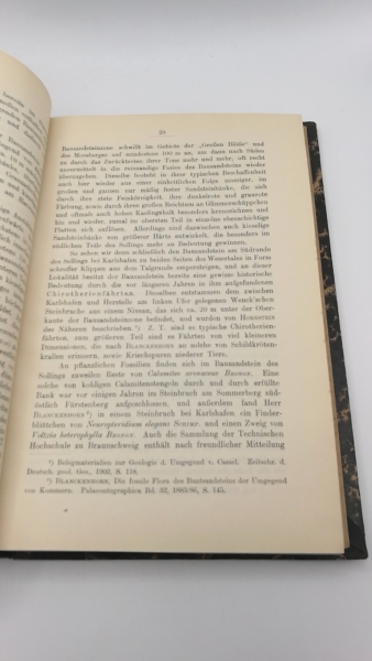 Naturhistorische Gesellschaft Hannover (Hrsg.): Vierter Jahresbericht des Niedersächsischen geologischen Vereins. Geschäftsjahr 1911