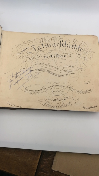 Strack, (Christian Friedrich Leberecht): Naturgeschichte in Bildern mit erläuterndem Text. Säugethiere (77von 84), Vögel (72, kpl.), Amphibien und Lurche (36, kplt.), Fische (81 v 143).