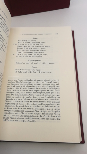 Goethe, Johann Wolfgang von: Goethes Faust. Erster und zweiter Teil. (=2 Bde =vollst.) Mit fortlaufender Erklärung von Karl Julius Schröer, erweitert durch Hinweise aus Schriften und Vorträge von Rudolf Steiner.