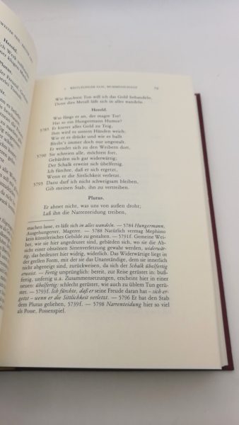 Goethe, Johann Wolfgang von: Goethes Faust. Erster und zweiter Teil. (=2 Bde =vollst.) Mit fortlaufender Erklärung von Karl Julius Schröer, erweitert durch Hinweise aus Schriften und Vorträge von Rudolf Steiner.