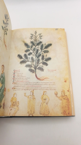 Zotter, Hans: Medicina antiqua Codex Vindobonensis 93 der Österreichischen Nationalbibliothek