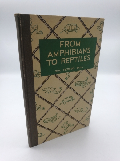 Bull, William Perkins: From Amphibians to Reptiles Shy Swamp-Dwellers in Study, Picture and Legend